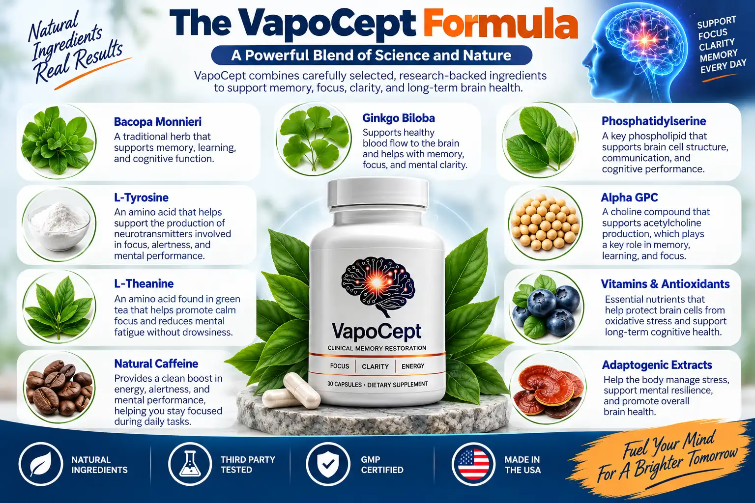 VapoCept formula overview