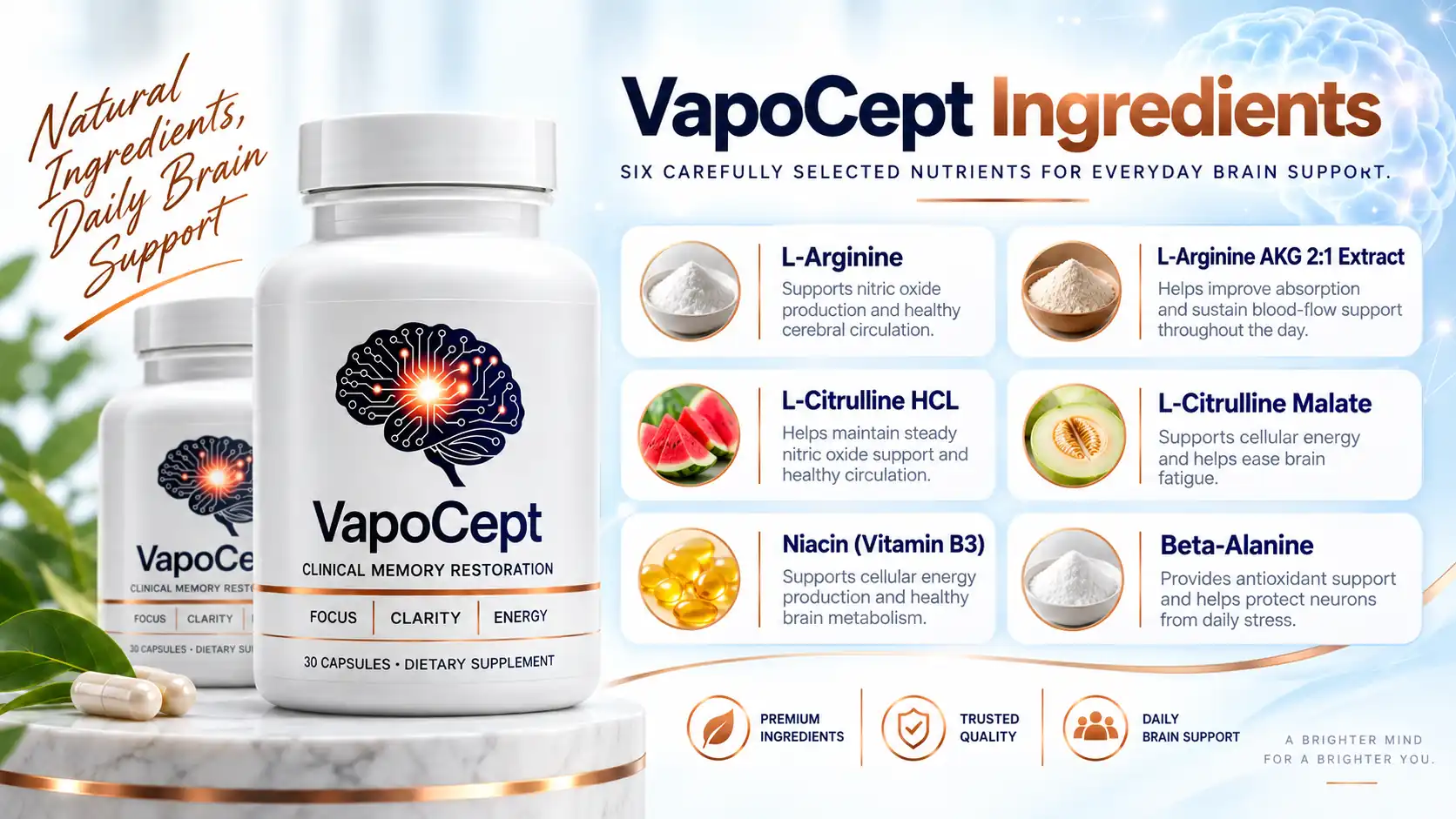 VapoCept ingredient overview